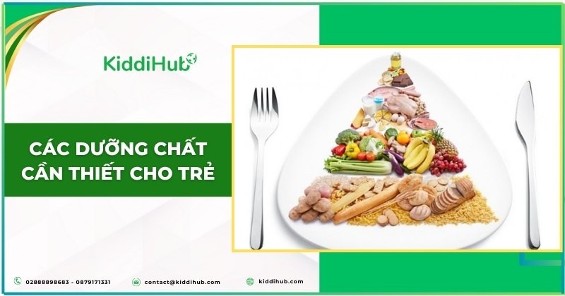 Các dưỡng chất cần thiết cho trẻ