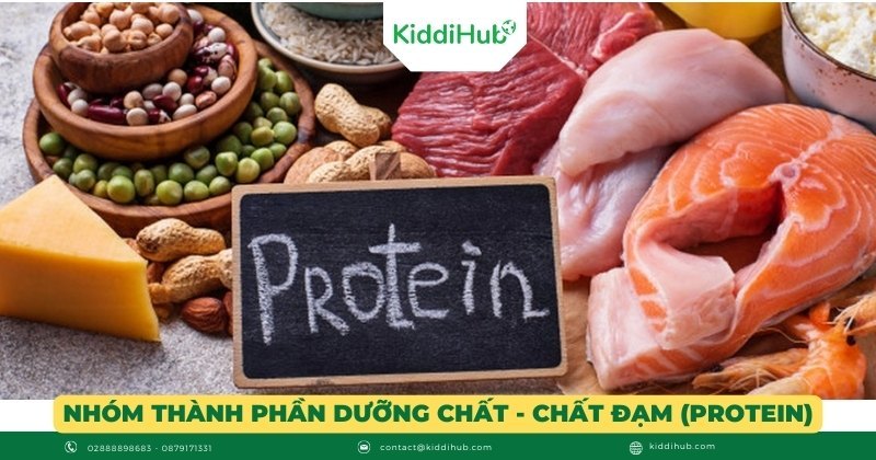 Nhóm thành phần dưỡng chất - Chất đạm (Protein)