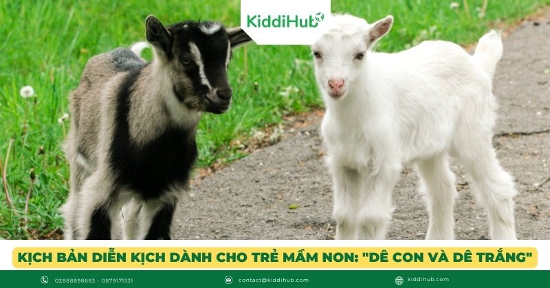 Kịch bản diễn kịch dành cho trẻ mầm non: "Dê Con và Dê Trắng"