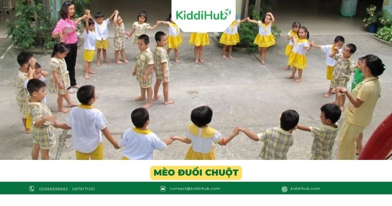 Mèo đuổi chuột