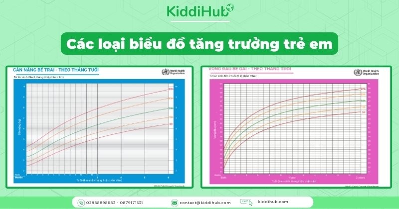 Các loại biểu đồ tăng trưởng trẻ em