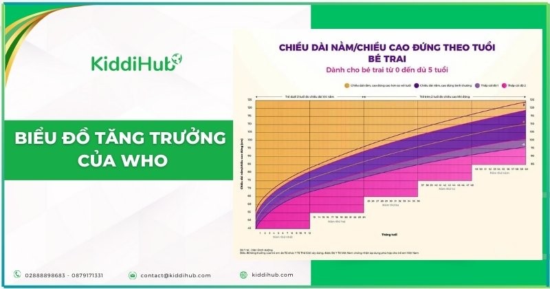 Biểu đồ tăng trưởng của WHO