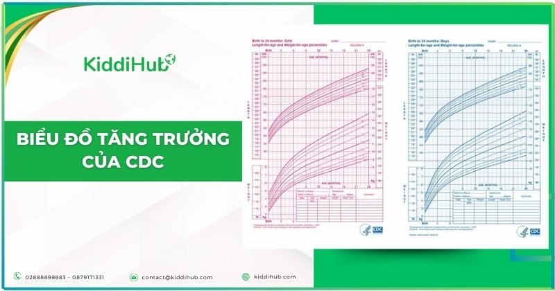 Biểu đồ tăng trưởng của CDC
