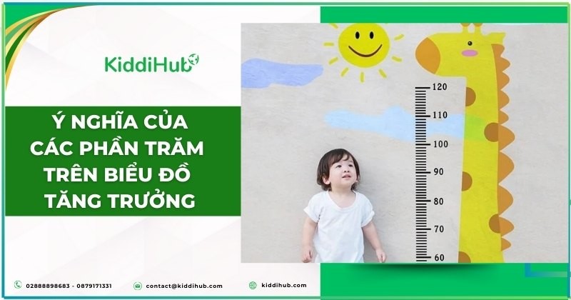 Ý nghĩa của các phần trăm trên biểu đồ tăng trưởng