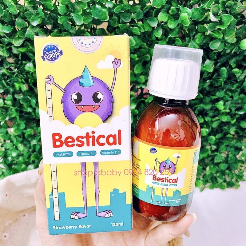 Giá và Địa Chỉ Mua Uy Tín