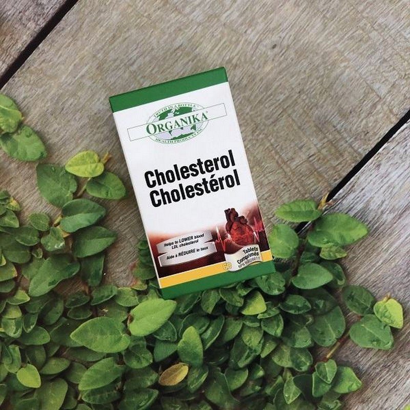 Tại sao nên mua Cholesterol Organika tại 5SaoBaby?