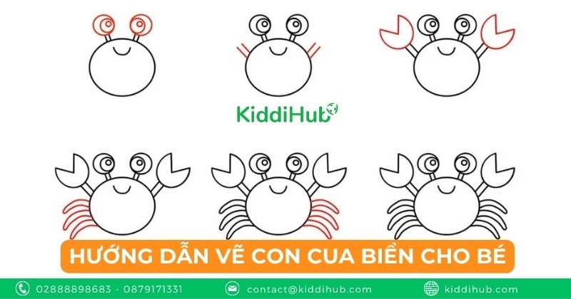 Hướng dẫn vẽ con cua biển cho bé