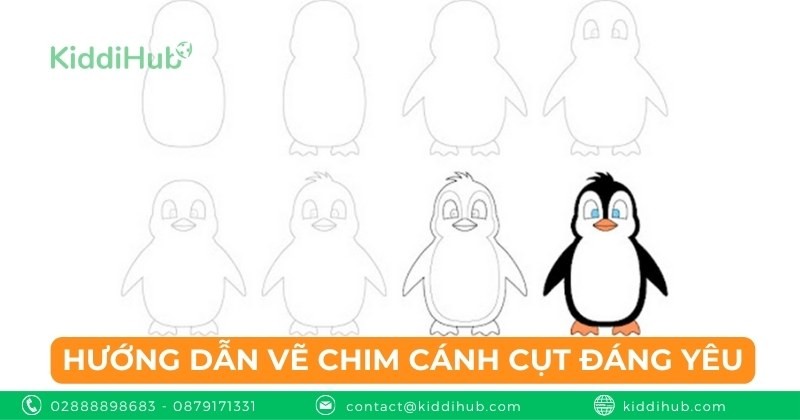Hướng dẫn vẽ chim cánh cụt đáng yêu