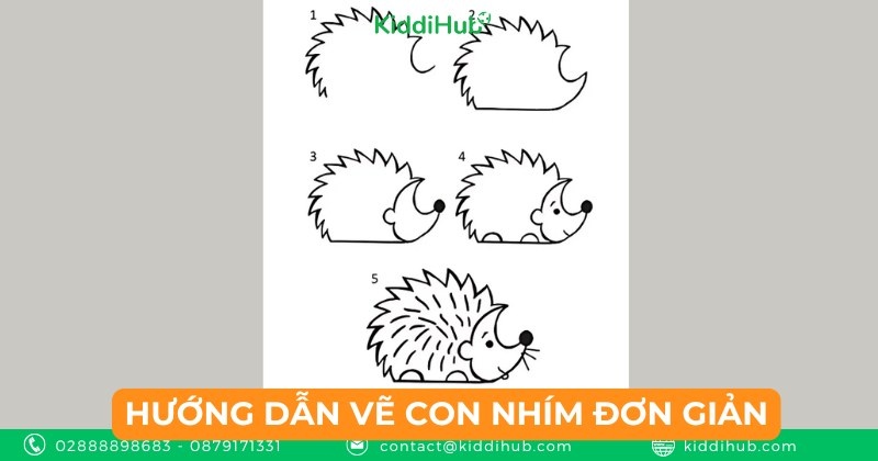 Hướng dẫn vẽ con nhím đơn giản