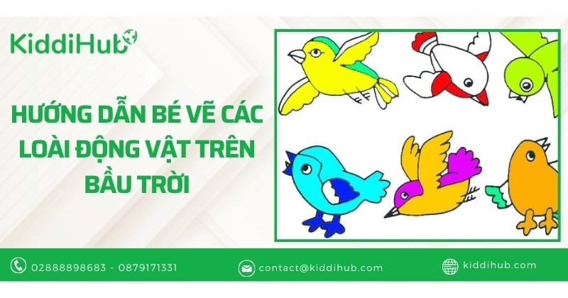 Hướng dẫn bé vẽ các loài động vật trên bầu trời