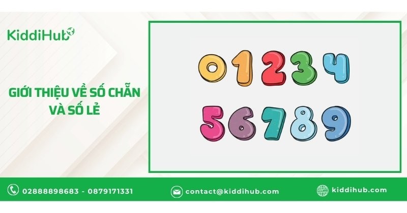 Giới thiệu về số chẵn và số lẻ