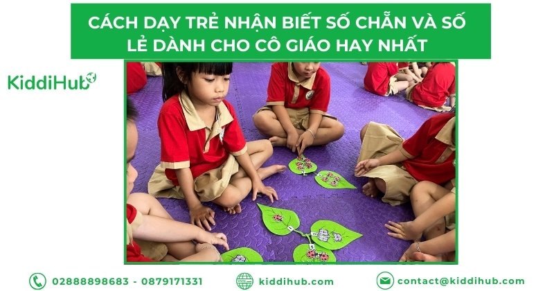 Cách dạy trẻ số chẵn và số lẻ dành cho cô giáo hay nhất