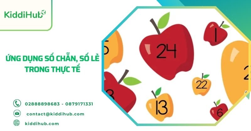 Ứng dụng số chẵn, số lẻ trong thực tế 