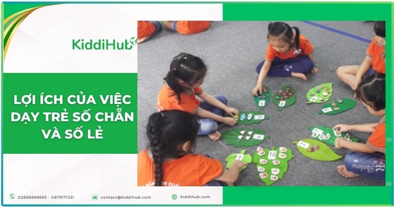 Lợi ích của việc dạy trẻ số chẵn và số lẻ
