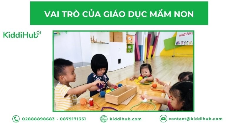 Vai trò quan trọng của giáo dục mầm non