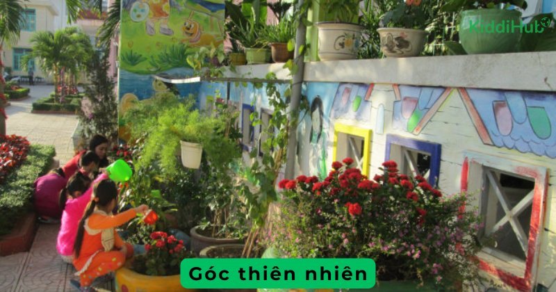 Góc thiên nhiên