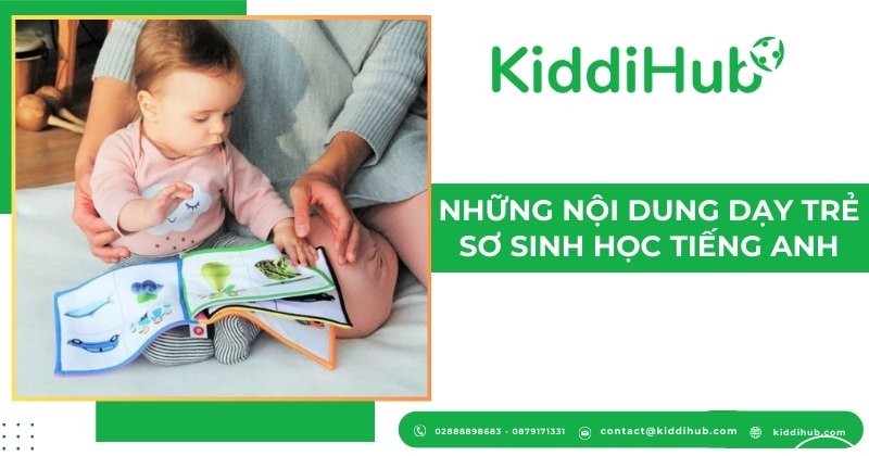 Những nội dung dạy trẻ sơ sinh học tiếng Anh