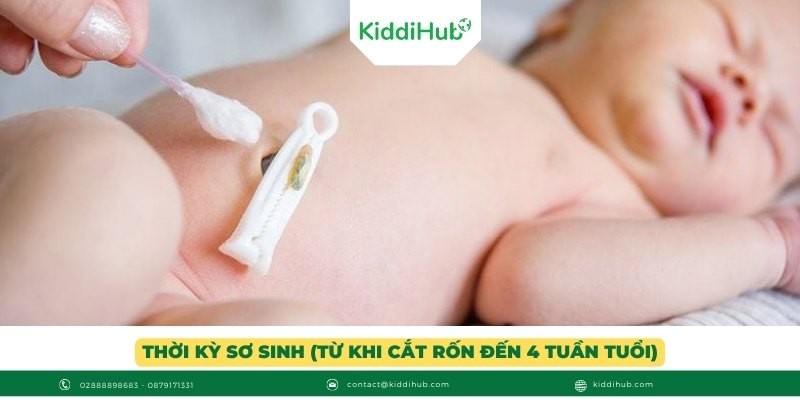 Thời kỳ sơ sinh (từ khi cắt rốn đến 4 tuần tuổi)