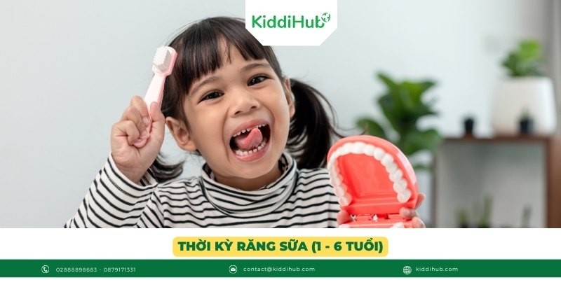 Thời kỳ răng sữa (1 - 6 tuổi)