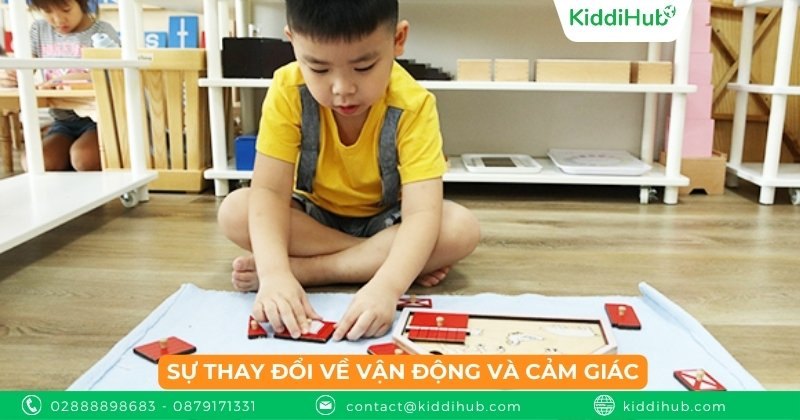 Sự thay đổi về vận động và cảm giác
