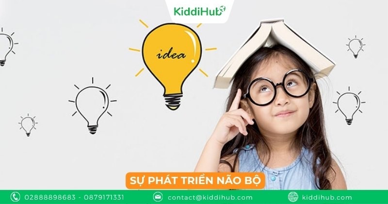 Sự phát triển não bộ