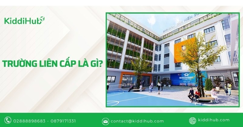 Trường liên cấp là gì?