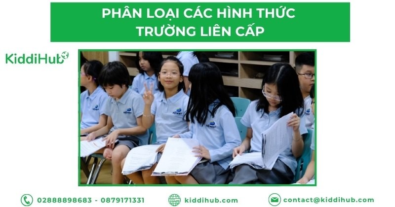 Phân loại các hình thức trường liên cấp hiện nay