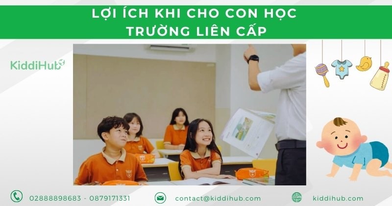 Lợi ích khi cho con học trường liên cấp