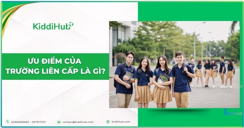 Ưu điểm của trường liên cấp là gì?