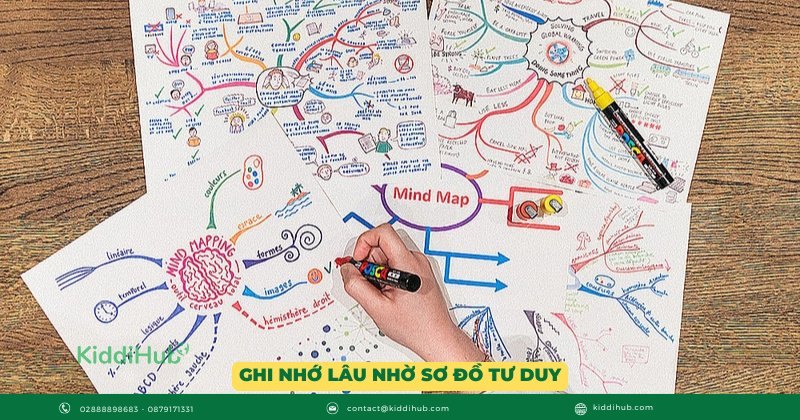 Ghi nhớ lâu nhờ sơ đồ tư duy – “Chiếc bản đồ” cho trí não