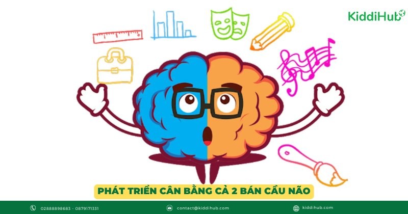 Dạy con thông minh: phát triển cân bằng cả 2 bán cầu não