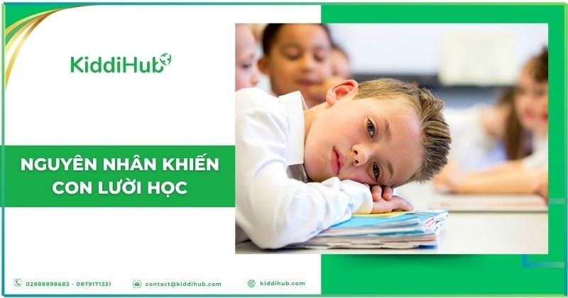 Nguyên nhân khiến con lười học