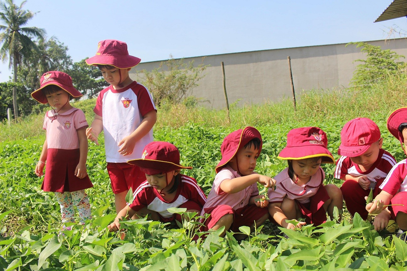 Hoạt động hè cho trẻ mầm non