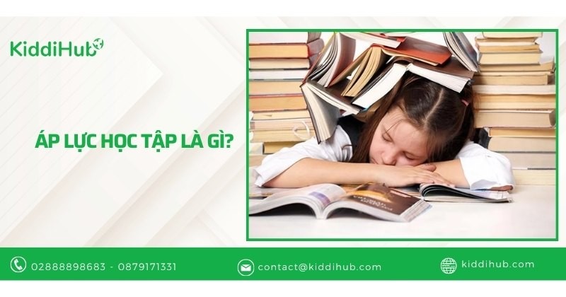 Áp lực học tập là gì?