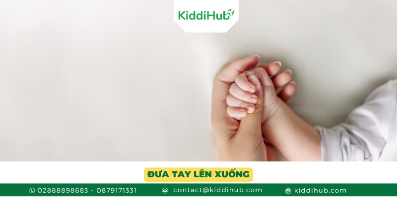 Đưa tay lên xuống