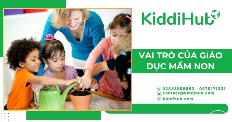 Vai trò của giáo dục mầm non