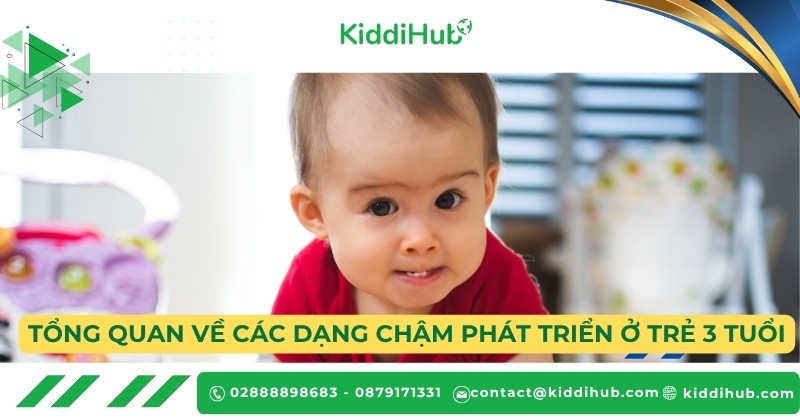 Tổng quan về các dạng chậm phát triển ở trẻ 3 tuổi