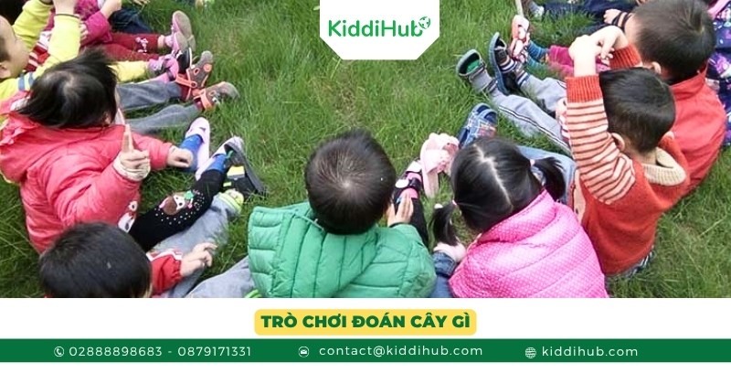 Trò chơi Đoán cây gì