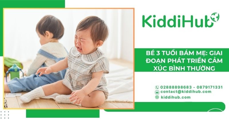 Bé 3 tuổi bám mẹ: Giai đoạn phát triển cảm xúc bình thường
