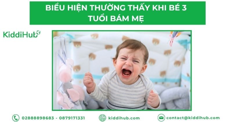 Biểu hiện thường thấy khi bé 3 tuổi bám mẹ