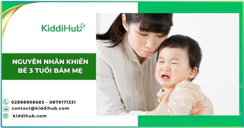 Nguyên nhân khiến bé 3 tuổi bám mẹ