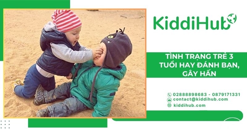 Tình trạng trẻ 3 tuổi hay đánh bạn, gây hấn