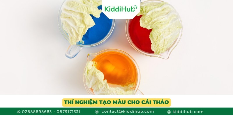 Thí nghiệm tạo màu cho cải thảo