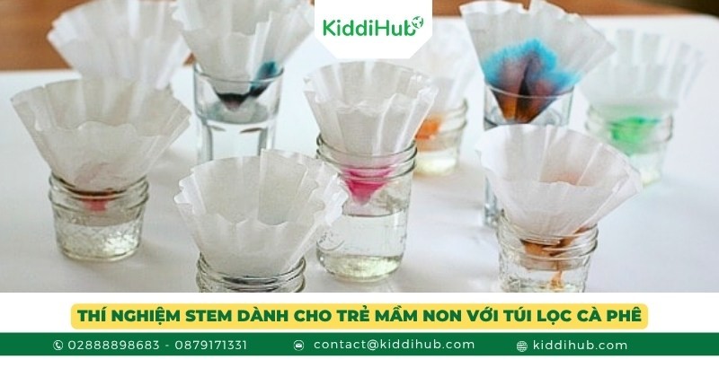 Thí nghiệm STEM dành cho trẻ mầm non với túi lọc cà phê
