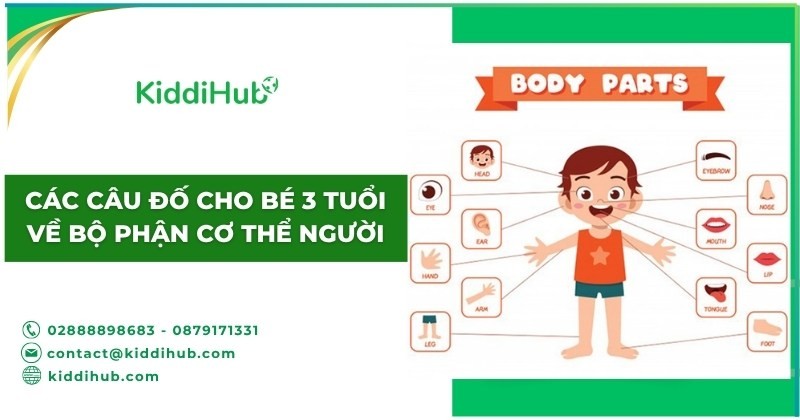 Các câu đố cho bé 3 tuổi về bộ phận cơ thể người