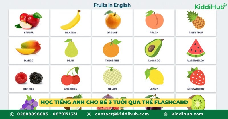 Học tiếng Anh cho bé 3 tuổi qua thẻ flashcard