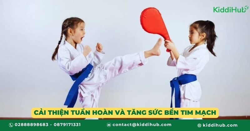 Cải thiện tuần hoàn và tăng sức bền tim mạch