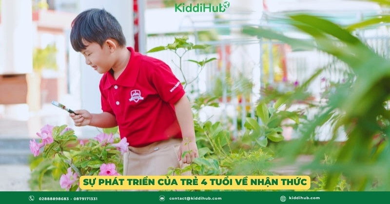 Sự phát triển của trẻ 4 tuổi về nhận thức