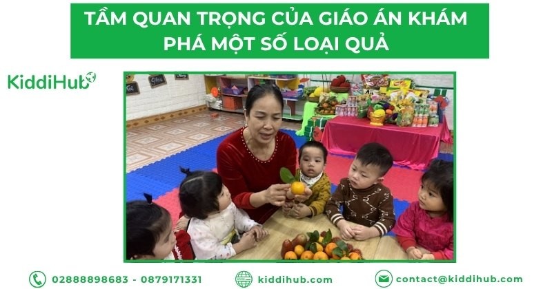Tầm quan trọng của giáo án khám phá một số loại quả