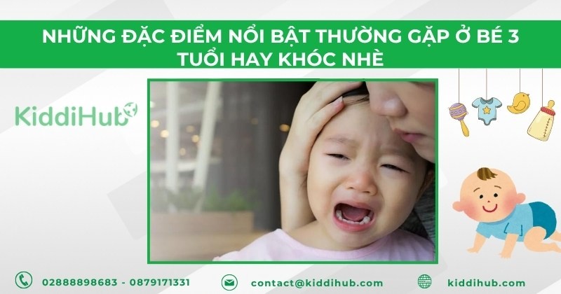 Những đặc điểm nổi bật thường gặp ở bé 3 tuổi hay khóc nhè